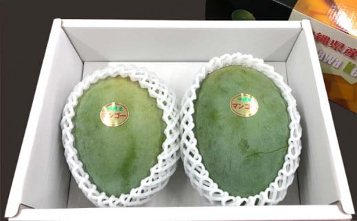 ãå
è¡åä»ãã2026幎çºéãã€ãã蟲å ããŒããã³ãŽãŒçŽ1.5kg - ç£å°çŽé æ²çžç£ åœç£ æç© ãã«ãŒã ååœãã«ãŒã æ¬ã®å³èŠ è¿œç å
è¡äºçŽ åžå°çš® äººæ° ãããã éæç¡æ æ²çžç å
«éç¬çº