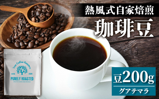 【完全受注焙煎】Tree Coffee Roasters「グアテマラ エスエイチビー カフェピューマ ハイロースト」 200g - コーヒー 豆 こだわり 自家焙煎 コーヒー豆 熱風式焙煎 本格 贈り物 おすすめ 人気 沖縄県 八重瀬町