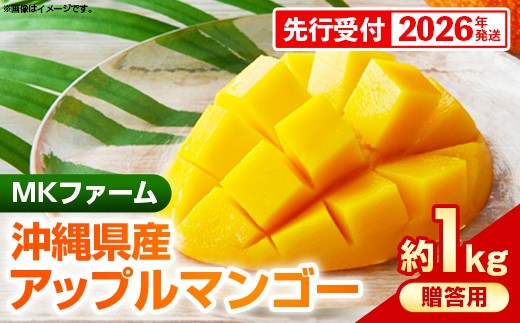 【先行受付】【2026年発送】MKファームの贈答用アップルマンゴー約1kg【贈答用】- 贈答用 ギフト 先行予約 沖縄県産 産地直送 南国フルーツ 旬の味覚 アップルマンゴー オススメ 沖縄県 八重瀬町