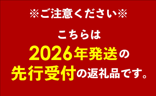 【先行受付】【2026年発送】南国フーズの完熟アップルマンゴー 約2kg - 先行予約 沖縄県産 産地直送 南国フルーツ 旬の味覚 旬のフルーツ 贈り物 ギフト 沖縄県 八重瀬町