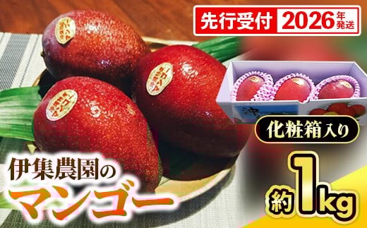 【化粧箱入】【先行受付・2026年発送】伊集農園  沖縄県産マンゴー（贈答用）約1kg - 先行予約 沖縄 産地直送 南国フルーツ 旬の味覚 旬のフルーツ 沖縄県 八重瀬町