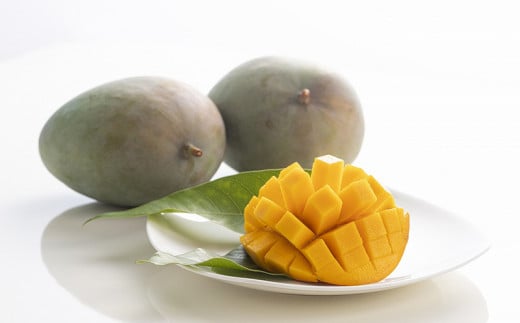 ãå
è¡åä»ãã2026幎çºéãç¥è°·ãã¡ãŒã ã®ããŒããã³ãŽãŒ çŽ2kg - å
è¡äºçŽ æ²çžçç£ ç£å°çŽé ååœãã«ãŒã æ¬ã®å³èŠ å£ç¯ã®æç© åžå°çš® èŽãç© ã®ãã æ²çžç å
«éç¬çº