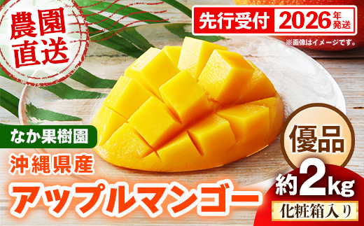 【化粧箱入り】【先行受付・2026年発送】なか果樹園 アップルマンゴー 優品 約2kg - 産地直送 先行予約 沖縄県産 贈り物 ギフト プレゼント 南国フルーツ 旬の味覚 オススメ 沖縄県 八重瀬町
