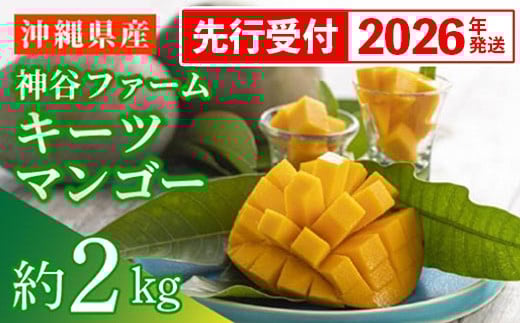 【先行受付】【2026年発送】神谷ファームのキーツマンゴー 約2kg - 先行予約 沖縄県産 産地直送 南国フルーツ 旬の味覚 季節の果物 希少種 贈り物 ギフト 沖縄県 八重瀬町