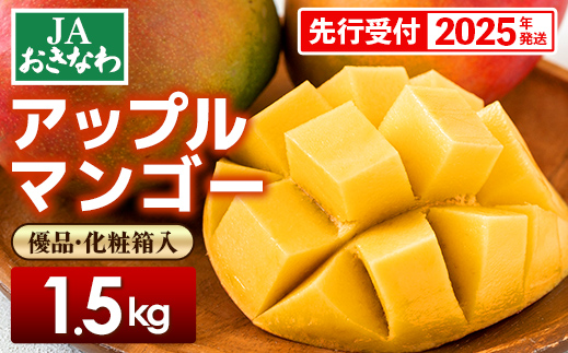 【化粧箱入】【先行受付・2025年発送】JAおきなわの産直アップルマンゴー約1.5kg【優品】