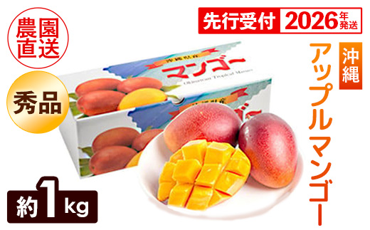 【化粧箱入】【先行受付・2026年発送】ヤマト農園 アップルマンゴー約1kg（秀品）- 先行予約 沖縄県産 産地直送 南国フルーツ 旬の味覚 季節の果物 贈り物 ギフト 沖縄県 八重瀬町