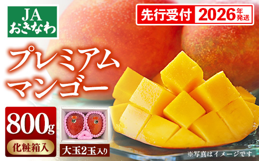 【化粧箱入】【先行受付・2026年発送】JAおきなわプレミアムマンゴー 約800g【大玉2玉】- 先行予約 沖縄 産地直送 季節の果物 旬の味覚 アップルマンゴー 贈り物 プレゼント ギフト 沖縄県 八重瀬町