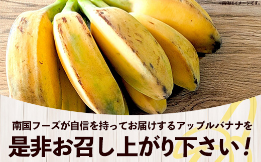 【特別提供中】 国産 希少種！南国フーズのアップルバナナ 約3kg - バナナ ばなな 小ぶり 沖縄県 産地直送 果物 フルーツ 南国 朝食 おすすめ 沖縄県 八重瀬町【価格改定】