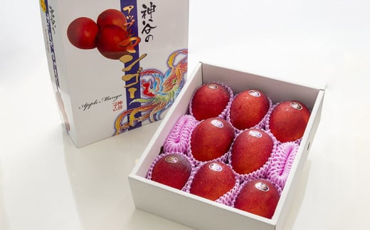 ãåç²§ç®±å
¥ããå
è¡åä»ã»2026幎çºéãç¥è°·ãã¡ãŒã ã®ãã³ãŽãŒïŒæ¥µïŒçŽ4Kg - å
è¡äºçŽ æ²çžçç£ ç£å°çŽé ååœãã«ãŒã æ¬ã®å³èŠ å£ç¯ã®æç© èŽãç© ã®ãã æ²çžç å
«éç¬çº