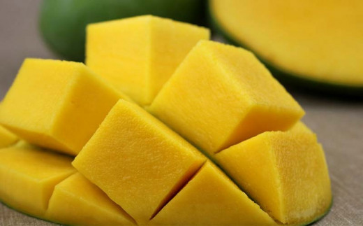 ãå
è¡åä»ãã2026幎çºéãã€ãã蟲å ããŒããã³ãŽãŒçŽ1.5kg - ç£å°çŽé æ²çžç£ åœç£ æç© ãã«ãŒã ååœãã«ãŒã æ¬ã®å³èŠ è¿œç å
è¡äºçŽ åžå°çš® äººæ° ãããã éæç¡æ æ²çžç å
«éç¬çº