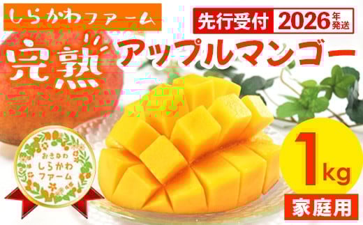 【先行受付】【2026年発送】しらかわファームの家庭用アップルマンゴー約1kg - 先行予約 沖縄県産 産地直送 南国フルーツ 旬の味覚 季節の果物 ご自宅用 家庭用 沖縄県 八重瀬町