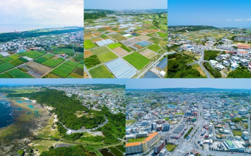 自治会活動の応援