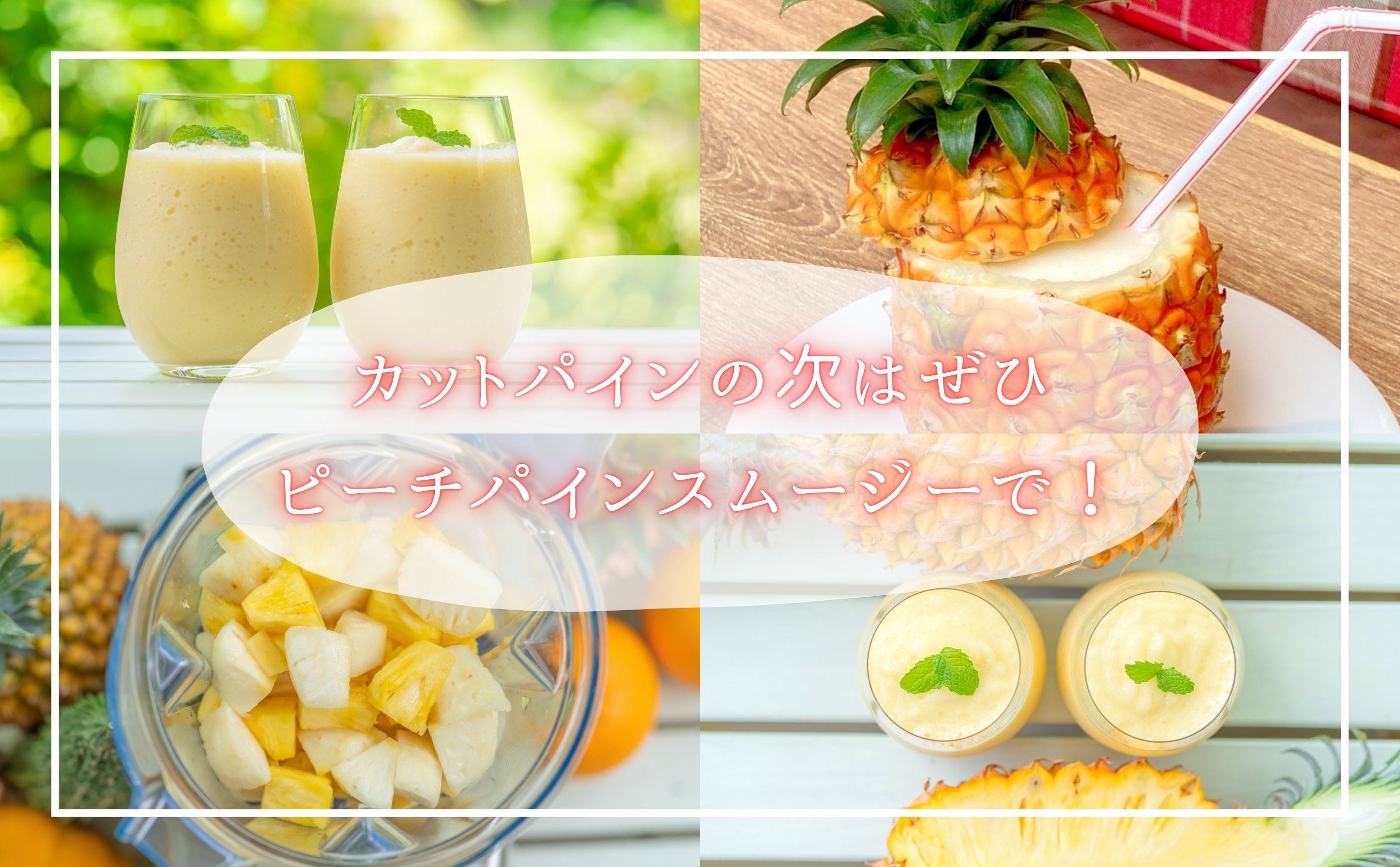 【よくばりピーチ定期便★約1.2kg×4回】☆新感覚☆ 桃のような芳醇な香りのする『西表島産 完熟ピーチパイン』