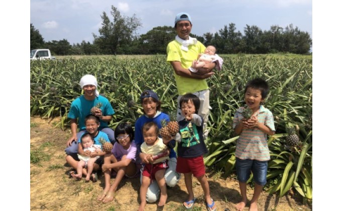 2025年 先行予約 マンゴー 夏小紅 約2kg 3〜6玉 ますみ農園 甘味 スッキリ 果物 フルーツ