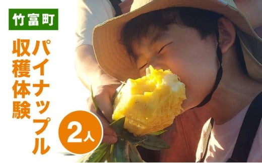 パイナップル収穫体験【2名】爽やかな朝日を浴びた中での開催♪（4月25日～6月15日開催）
