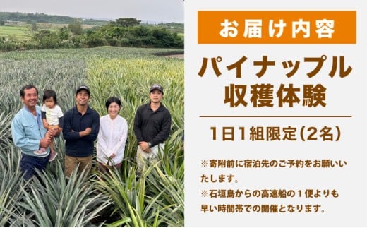 パイナップル収穫体験【2名】爽やかな朝日を浴びた中での開催♪（4月25日～6月15日開催）