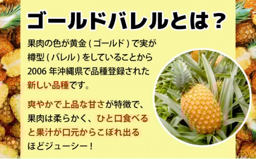 【2026年発送】ゴールドバレルビッグな１玉セット