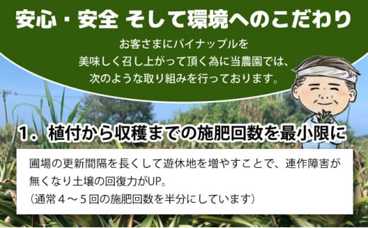 【2026年発送】ゴールドバレルビッグな１玉セット