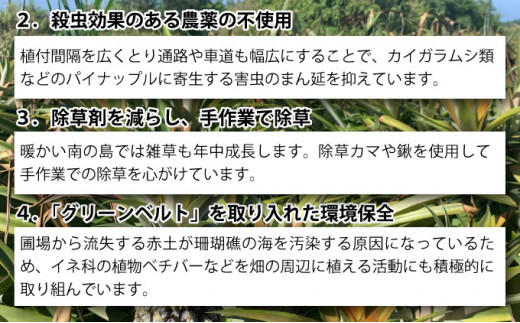 【2026年発送】ゴールドバレルビッグな１玉セット