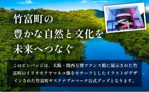 竹富町公式サステナブルマークピンバッジ【ブルー】（マグネットタイプ）｜大阪・関西万博フランス館イリオモテヤマネコ像