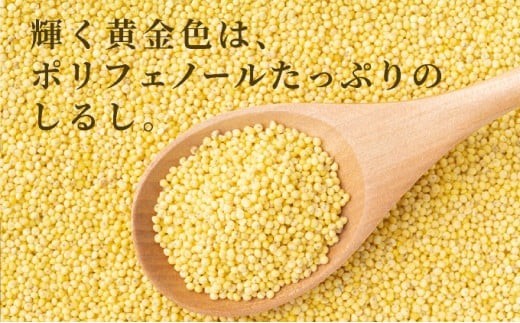 沖縄県波照間島産　日本最南端の島から贈る『もちきび』400g×2袋　とんちぇ農園（農薬・化学肥料不使用）【もちきび 波照間島 沖縄 農薬不使用 国産 雑穀】