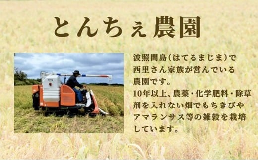 沖縄県波照間島産　日本最南端の島から贈る『もちきび』400g×2袋　とんちぇ農園（農薬・化学肥料不使用）【もちきび 波照間島 沖縄 農薬不使用 国産 雑穀】