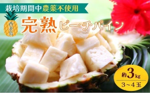 2026年 先行予約 西表島の完熟ピーチパイン 3kg (3～4玉)【嘉本商店 完熟 果物 フルーツ】お届け：5月中旬～6月中旬頃【042-a003】