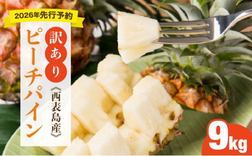 ＜訳あり！＞2026年 先行予約 大きさ不揃い お得！箱にいっぱいピーチパイン9kgセット