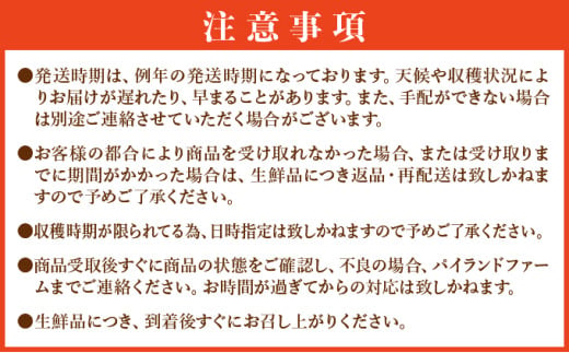 ＜訳あり！＞2026年 先行予約 大きさ不揃い お得！箱にいっぱいピーチパイン9kgセット