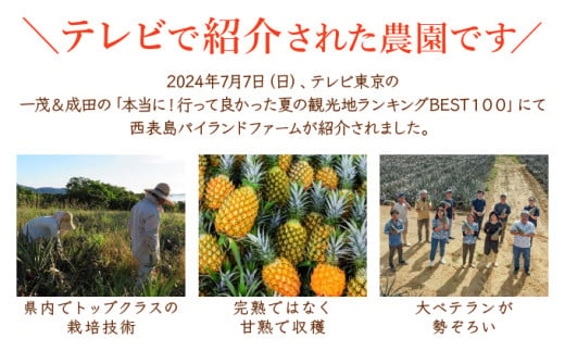 ＜訳あり！＞2026年 先行予約 大きさ不揃い お得！箱にいっぱいピーチパイン9kgセット