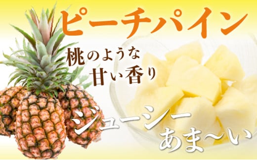 ＜訳あり！＞2026年 先行予約 大きさ不揃い お得！箱にいっぱいピーチパイン9kgセット