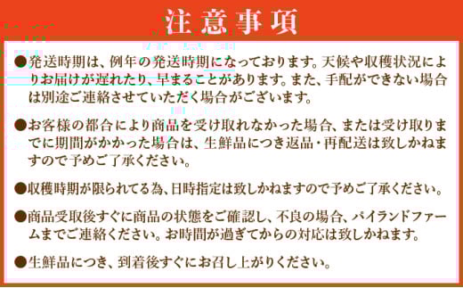 ＜訳あり！＞2026年先行予約　大きさ不揃いお得！箱にいっぱいスナックパイン9kgセット