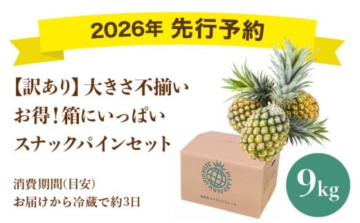 ＜訳あり！＞2026年先行予約　大きさ不揃いお得！箱にいっぱいスナックパイン9kgセット