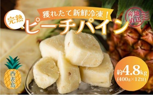 穫れたて新鮮冷凍！西表島の完熟ピーチパイン 4.8kg(400g×12袋) 嘉本商店 完熟 果物 フルーツ