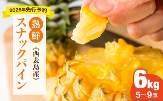 【手でちぎって食べる楽しさ】熟鮮スナックパイン6kg（5～9玉）2026年 先行予約　沖縄　西表島