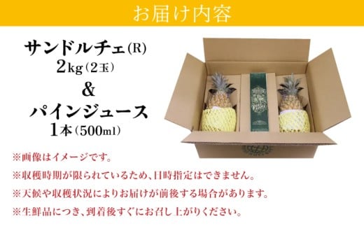 熟鮮サンドルチェ(R)2㎏（2玉）と甘さをぎゅっと詰め込んだ100％パイナップルジュース1本　パイン　果物　フルーツ
