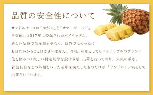 熟鮮サンドルチェ(R)2㎏（2玉）と甘さをぎゅっと詰め込んだ100％パイナップルジュース1本　パイン　果物　フルーツ