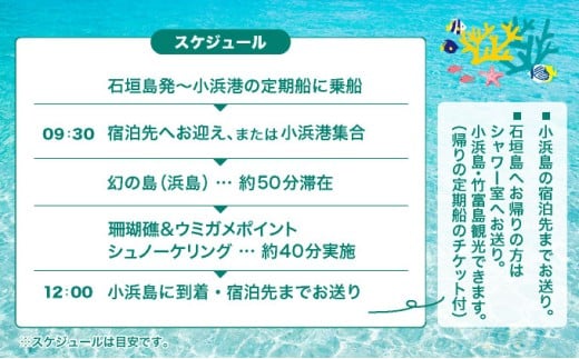 【石垣発】幻の島上陸＆海亀とシュノーケリング♪　無料『マーメイド体験、シャワー、お食事、小浜観光、片道船券付き』 竹富観光可【 旅行 体験チケット観光 大自然 体験ツアー 観光 沖縄 アクティビティ シュノーケリング 】