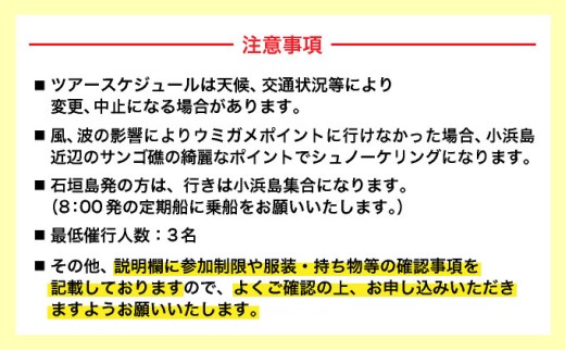 【石垣発】幻の島上陸＆海亀とシュノーケリング♪　無料『マーメイド体験、シャワー、お食事、小浜観光、片道船券付き』 竹富観光可【 旅行 体験チケット観光 大自然 体験ツアー 観光 沖縄 アクティビティ シュノーケリング 】