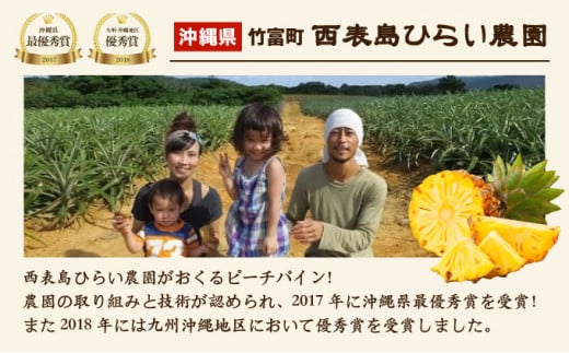 2026年 先行予約 ピーチパイン 約2kg 2～4玉 濃密 