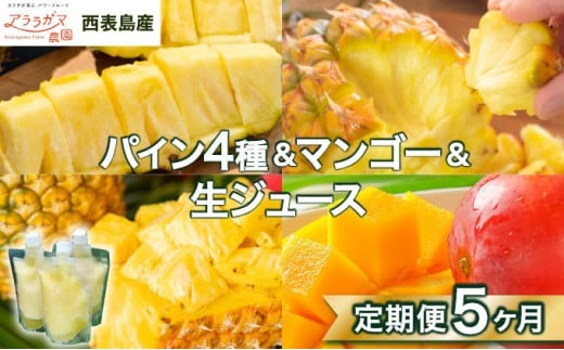リピート率No.1！パイナップル4種類＆マンゴー＆生ジュースを5回にわけて毎月お届け！