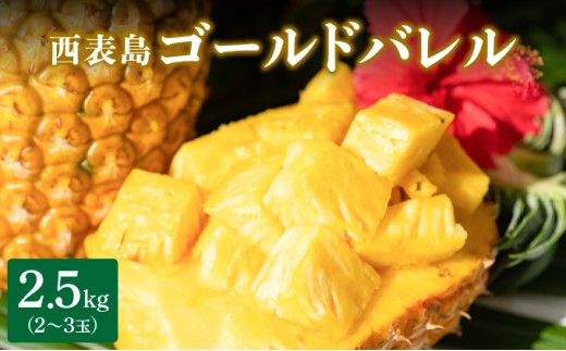 高級感No.1！開発に30年・栽培に3年。パイナップルの最高峰ゴールドバレル2.5kg(2～3玉)