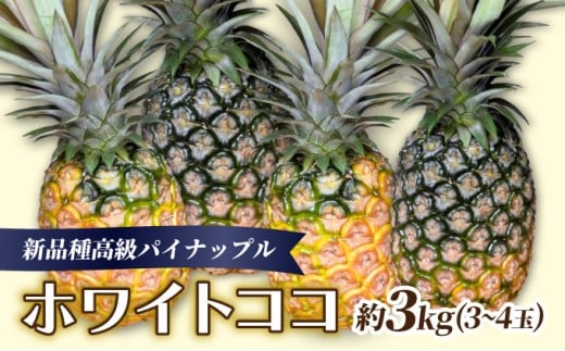 æ°åçš®é«çŽãã€ãããã« ãã¯ã€ãã³ã³ åžå°åçš® ã³ã³ãããã®éŠã çŽ3kgïŒ3ïœ4çïŒ