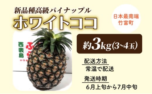 æ°åçš®é«çŽãã€ãããã« ãã¯ã€ãã³ã³ åžå°åçš® ã³ã³ãããã®éŠã çŽ3kgïŒ3ïœ4çïŒ