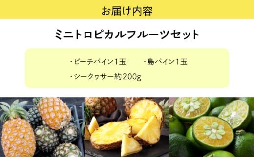 2026年 先行予約 ミニトロピカルフルーツ セット パイン シークワーサー ☆西表島ふる～つらんど☆ 果物 フルーツ