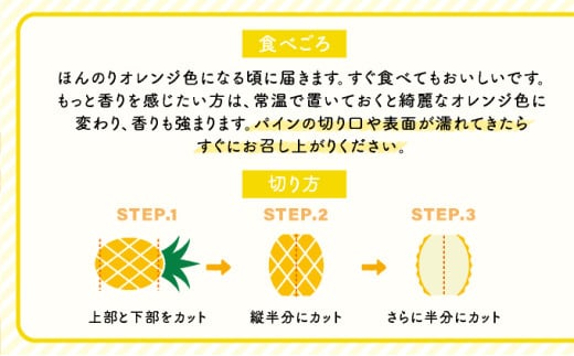 2026幎 å
è¡äºçŽ å°ç ããŒããã€ã³ çŽ5kg 9ïœ12ç â
西衚島ãµãïœã€ããã©â
çŸå³ããã®ã¥ããšïŒ æç© ãã«ãŒã ãã€ã³