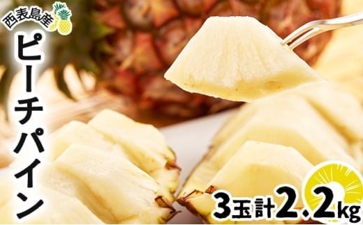 2026幎 å
è¡äºçŽ ããŒããã€ã³ çŽ 2.2kg (3ç) â
西衚島ãµãïœã€ããã©â
äžåã®äººæ°No.1 çç æç© ãã«ãŒã ãã€ã³