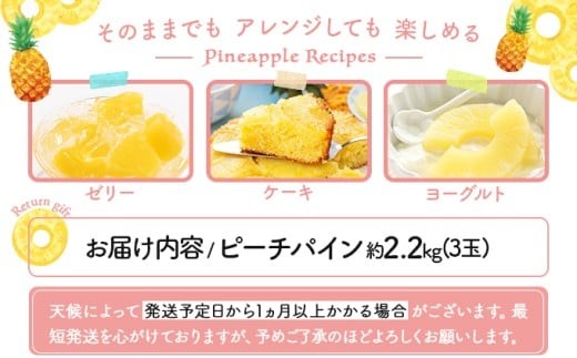 2026幎 å
è¡äºçŽ ããŒããã€ã³ çŽ 2.2kg (3ç) â
西衚島ãµãïœã€ããã©â
äžåã®äººæ°No.1 çç æç© ãã«ãŒã ãã€ã³