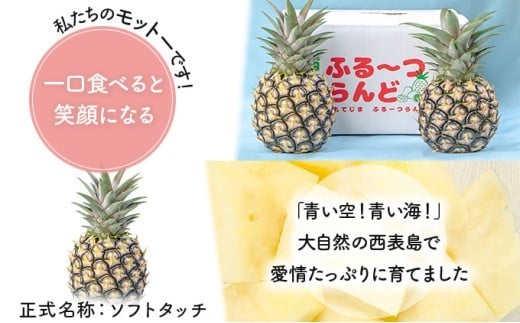 2026幎 å
è¡äºçŽ ããŒããã€ã³ çŽ 2.2kg (3ç) â
西衚島ãµãïœã€ããã©â
äžåã®äººæ°No.1 çç æç© ãã«ãŒã ãã€ã³