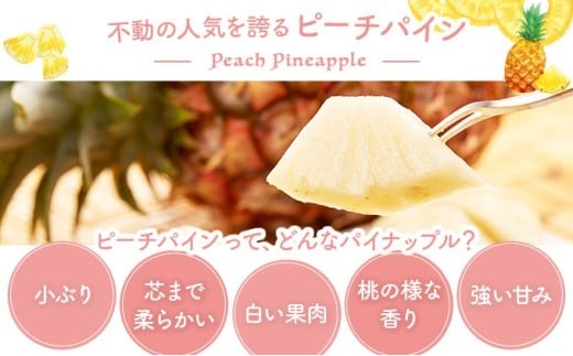 2026幎 å
è¡äºçŽ ããŒããã€ã³ çŽ 2.2kg (3ç) â
西衚島ãµãïœã€ããã©â
äžåã®äººæ°No.1 çç æç© ãã«ãŒã ãã€ã³